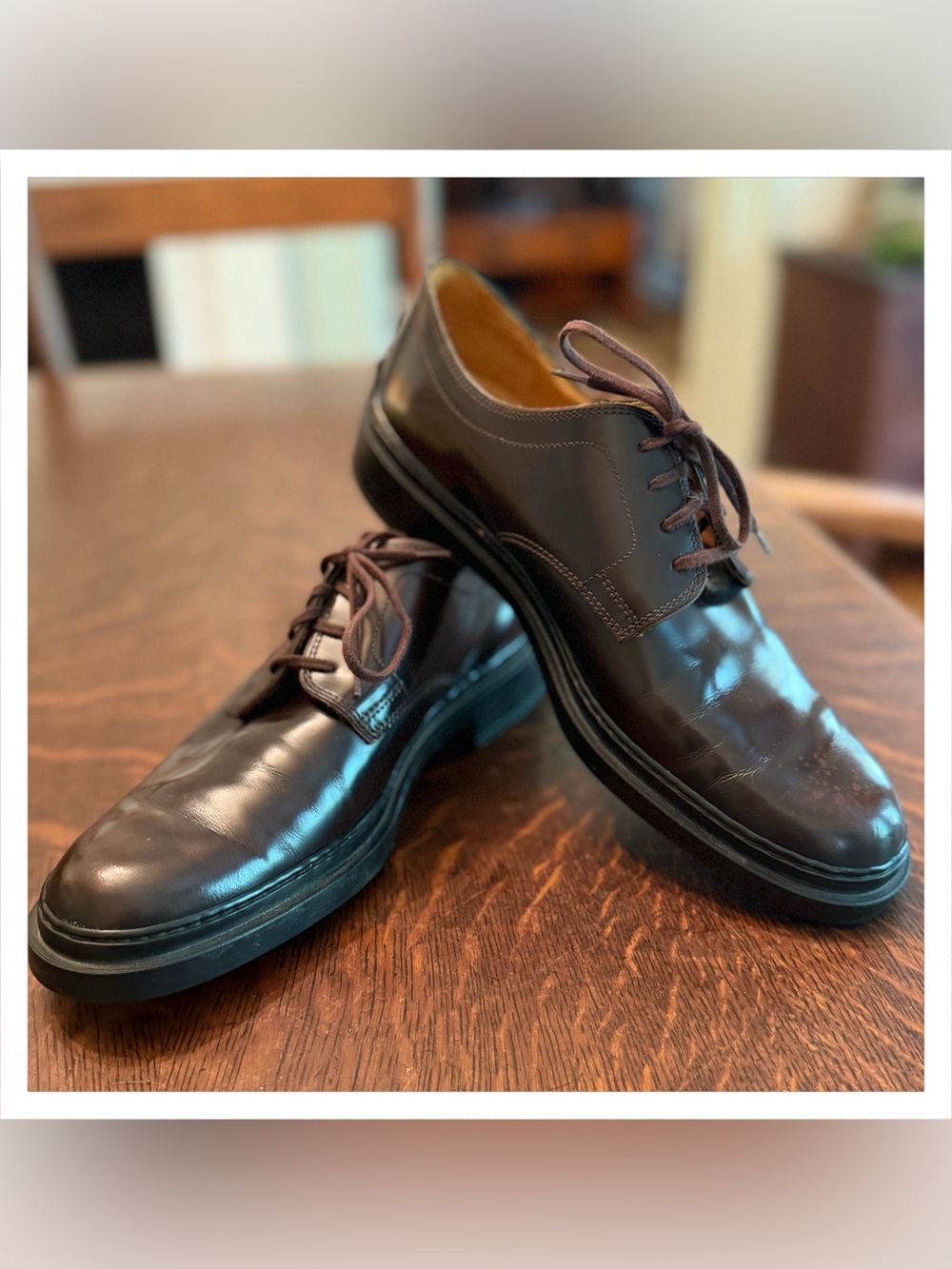 Tod's Brown Leather Derby Lace-Up Shoes